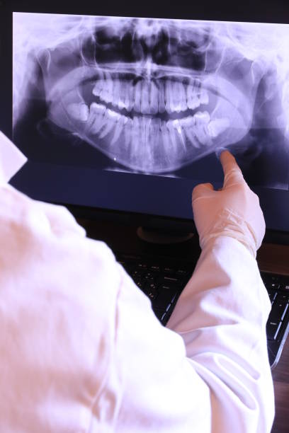 Best Emergency X-Rays and Diagnostics in Wakarusa, IN